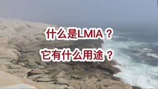 加拿大 移民 | LMIA 是什么？移民加拿大它的用途，本期详细了解！