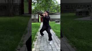 太极拳实战爆发力，发力时如棉花裹铁，暗劲十足！武术 太极拳 中华武术博大精深 发扬传武精神 晨练随拍