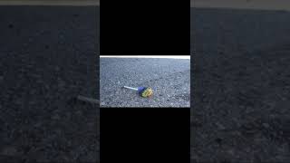Crushing Crunchy Soft Things by Car! EXPERIMENT CAR vs GIANT ORBEEZ WATER BALLOON