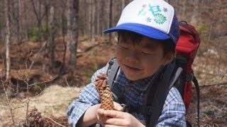 【親子登山】残雪の北八ヶ岳、しらびそ小屋でまったり過ごす【山小屋ライフ】  Going into the forest in parent and child.