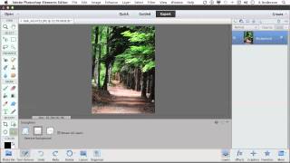 Photoshop Elements 11 Tutorial | Straightening an Image