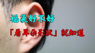 福氣好不好「看耳朵形狀」就知道　「耳垂越大的人」運氣越好｜佛道禪心