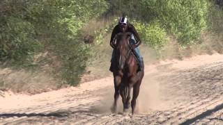 Klawervlei Gallops 25 Feb 2015 Mr Bond