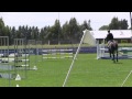 Equestrian Sports New Zealand (ESNZ) One Star Jumping and Showhunter Show