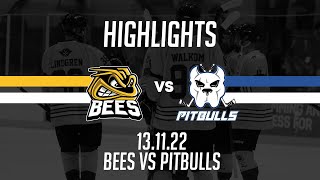 TSI World Bees vs Bristol Pitbulls 13.11.2022