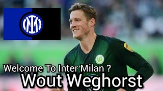 Wout Weghorst | Welcome To Inter Milan ? | Wolfsburg |  Skills | Goals