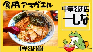 秋田県大仙市‼️【中華そば店 一しな】専門店で食べる昔懐かしい『中華そば』と、数量限定の『肉あんかけラーメン』を食す❗️