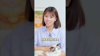 有这4大特征的才是真正的“招财猫”，快看看你家的猫中了几条？