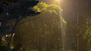 폭우와 천둥소리로 불면증을 잊고 즉시 수면 거센 빗소리 ASMR 백색소음, rain sound, deep sleep