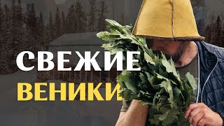 Свежезамороженные веники для бани в Украине.