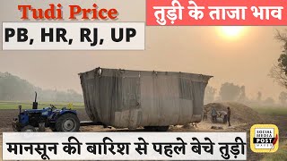 Tudi Prices | तुड़ी के ताजा भाव |ਤੂੜੀ ਦੇ ਰੇਟ | Sell Tudi Before Monsoon| Latest Price of Tudi|