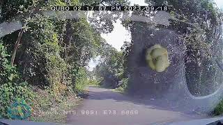 kudal tourist places l kudal to malvan l kudal to tarkarli l dash camera for car l dash cam