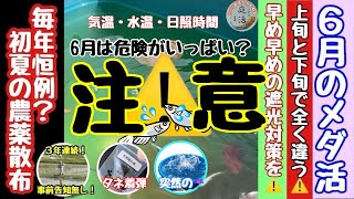 【メダ活】6月は危険がいっぱい？　2024.06.02