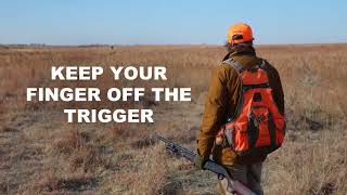Pheasant and Upland Hunting Safety