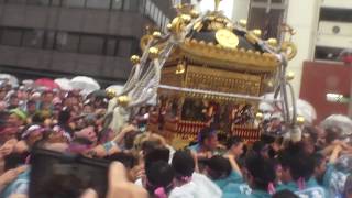 30年  鳥越神社  例大祭  本社千貫神輿立派な町内渡御 迫力満点　。