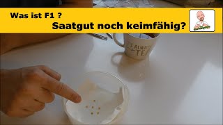 Keimtest für Chili \u0026 Paprika – So prüfst du die Keimfähigkeit von Saatgut.