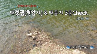 붕어낚시터 3분체크 평암지 \u0026 태봉지 (22.04.18) - Hello월척씨 !