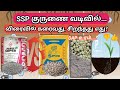 SSP குருணை வடிவில் இனிமேல் பயன்படுத்துவது எளிது | SSP granulars fertilizers