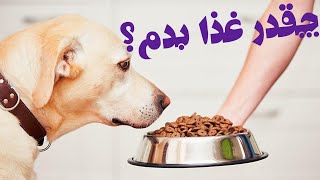 در روز چقدر به سگم باید غذا بدم؟(خیلی مهم)