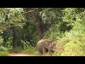 Lake Manyara National Park, Tanzania, Africa