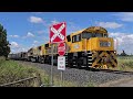 tasrail 2052 2054 46 coal train crossing trafalgar lane