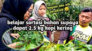 Part 2 Belajar sortasi bahan sambungan baru, begini cara supaya sambungan baru mendapatkan 2.5 kg❗❗