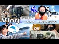 【おでかけVlog】A列車で行こう！イルカクルージングと水族館