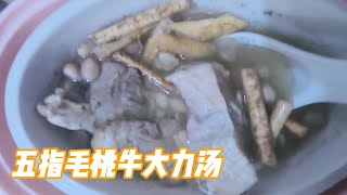 【洋蔥廚房】五指毛桃牛大力豬骨湯|味道鮮甜|健脾補肺益腎|祛濕|消暑湯品