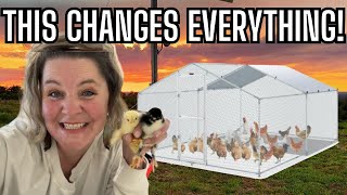 They Grow So Fast! Amazon Large Metal Chicken Coop Run Assembly | Start to Finish | Honest Review