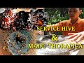 Service hive dan tuai madu kelulut torasika Part 2