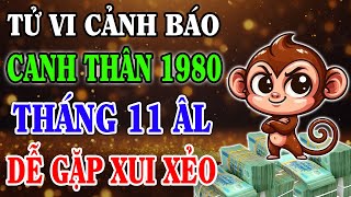 Vận Trình Tháng 11 Âm Lịch Tuổi CANH THÂN 1980 Đại Hạn Bủa Vây, Tiền Bạc Đội Nón Ra Đi