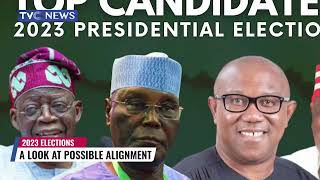 2023 ELECTIONS: A Look At The Possibility Of APC, PDP, LP Joining Force With Other Parties