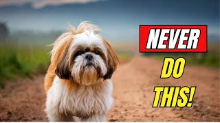 7 Things You MUST NEVER Do To Your Shih Tzu