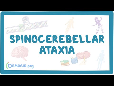 What is spinocerebellar degeneration?