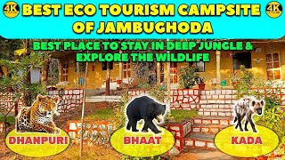 Best 3 Ecotourism Campsite of Jambughoda - Dhanpuri, Bhaat \u0026 Kada Ecotourism @Zarukho