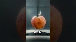 What happens if an apple is left in water for a year?