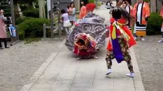 平成26年伏木神社秋季大祭　新町獅子方