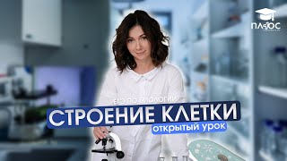 Строение клетки | Полный урок | Плюс