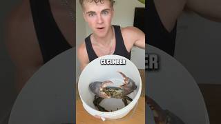 GIANT MUD CRAB VS CUCUMBER! #shorts