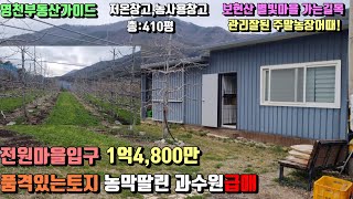 보현산별빛마을 가는길 전원마을입구 자식같이 잘 가꾸어놓은 품격있고 농막딸린 사과밭매매(410평)[매물번호581]/영천부동산가이드/영천부동산