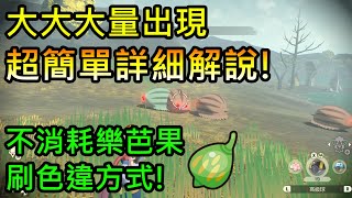 【小薰】寶可夢傳說阿爾宙斯│大大大量出現超簡單詳細解說!不消耗樂芭果刷色違方式!