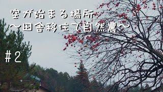 週末移住日記＃02　〜雨の日は一日中干し柿づくり〜