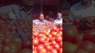 Punganur tomato market 🍅🍅🍅 200