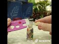 Easy Way To Open Essential Oil Bottle