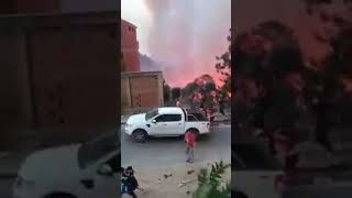 incendie a Tizi ouzou  une catastrophe en kabylie des famille qui essaye de fuir les feu