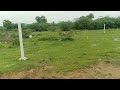 Ambattur next thirumullaivoyal main road 2.5km online patta approved eligible land 800sp 9080575654