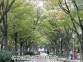 ルモン肥後橋公園前｜大阪市西区江戸堀｜中古マンション｜不動産