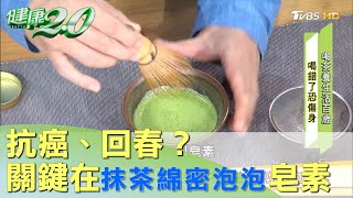 抗癌、回春？ 關鍵就在抹茶的綿密泡泡皂素 健康2.0