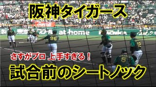 阪神タイガース 内野シートノック　めっちゃ上手いです！