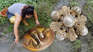 😱 The giant clams in the wilderness, adorned with countless enviable pearls, are truly breathtaking